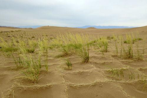 最新沙漠爆料消息新闻报道,揭秘神秘古文明遗址 第2张 最新沙漠爆料消息新闻报道,揭秘神秘古文明遗址 第2张
