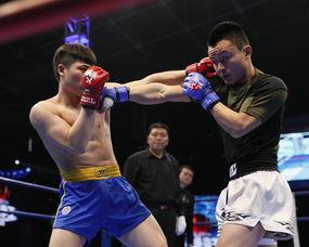 拳王爆料司机视频播放,揭秘司机视频背后的惊人真相 第3张 拳王爆料司机视频播放,揭秘司机视频背后的惊人真相 第3张