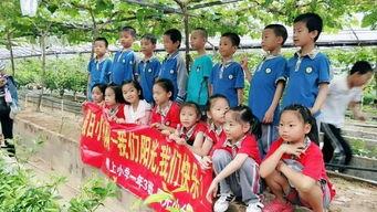 上寨小学最新爆料,校园风云再起 第3张 上寨小学最新爆料,校园风云再起 第3张